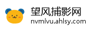 望风捕影网